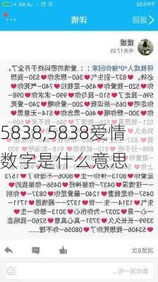 5838,5838爱情数字是什么意思