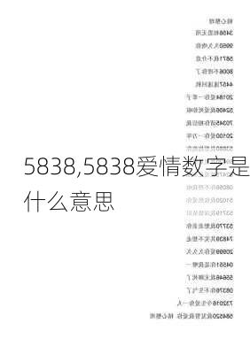 5838,5838爱情数字是什么意思