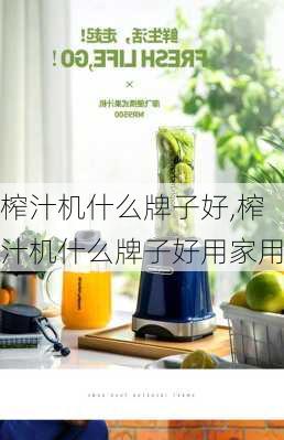 榨汁机什么牌子好,榨汁机什么牌子好用家用