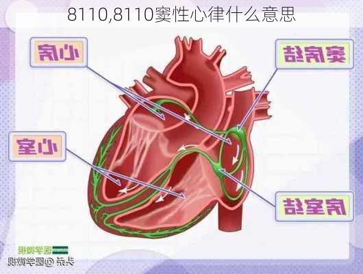 8110,8110窦性心律什么意思