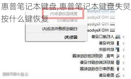 惠普笔记本键盘,惠普笔记本键盘失灵按什么键恢复