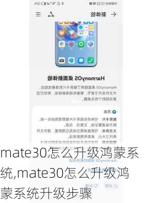 mate30怎么升级鸿蒙系统,mate30怎么升级鸿蒙系统升级步骤