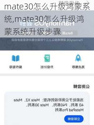 mate30怎么升级鸿蒙系统,mate30怎么升级鸿蒙系统升级步骤