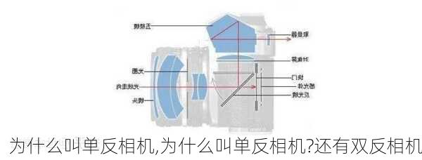 为什么叫单反相机,为什么叫单反相机?还有双反相机