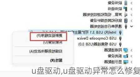 u盘驱动,u盘驱动异常怎么修复