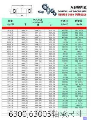 6300,63005轴承尺寸