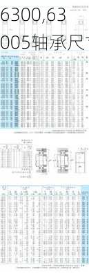 6300,63005轴承尺寸