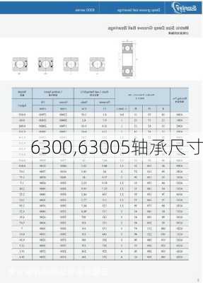 6300,63005轴承尺寸