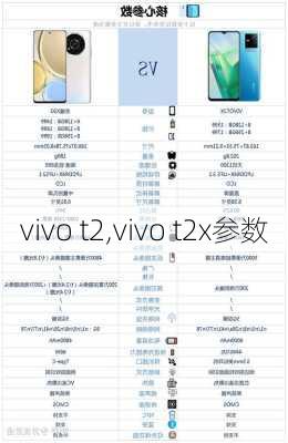 vivo t2,vivo t2x参数