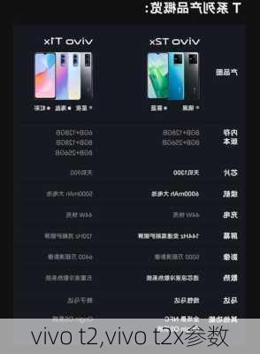 vivo t2,vivo t2x参数