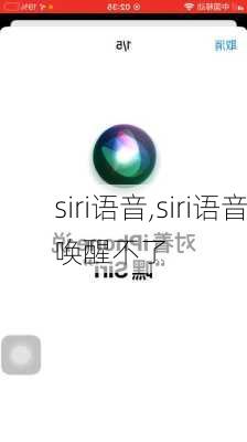 siri语音,siri语音唤醒不了