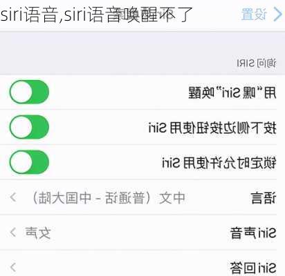 siri语音,siri语音唤醒不了