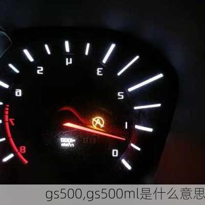 gs500,gs500ml是什么意思