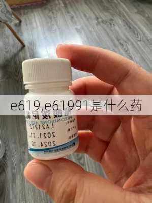 e619,e61991是什么药