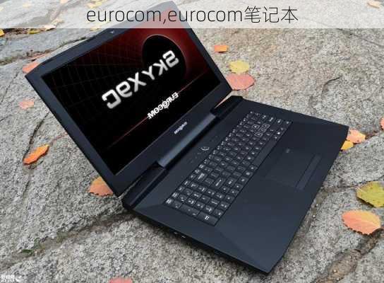 eurocom,eurocom笔记本