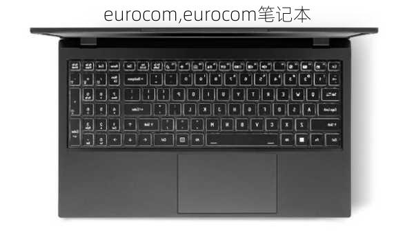 eurocom,eurocom笔记本