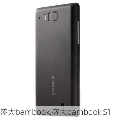 盛大bambook,盛大bambook S1