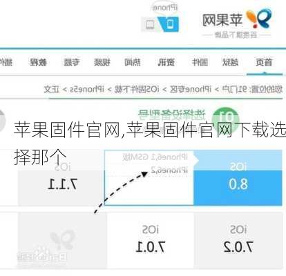 苹果固件官网,苹果固件官网下载选择那个