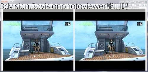 3dvision,3dvisionphotoviewer能删吗