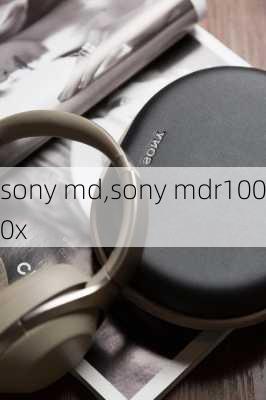 sony md,sony mdr1000x