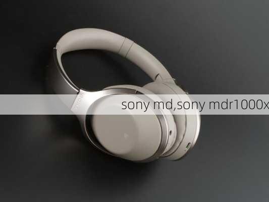 sony md,sony mdr1000x