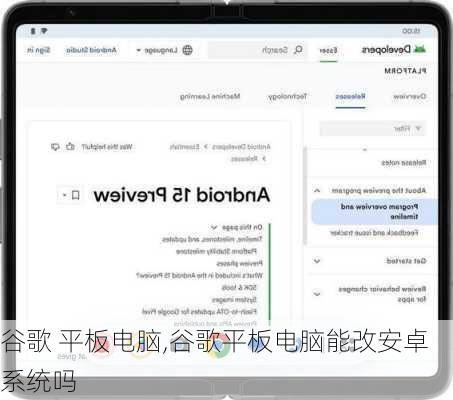 谷歌 平板电脑,谷歌平板电脑能改安卓系统吗
