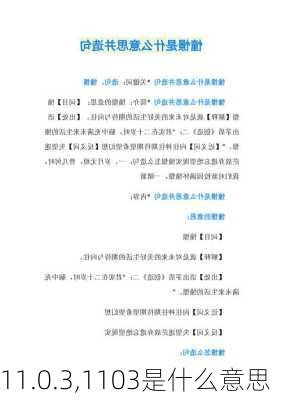 11.0.3,1103是什么意思