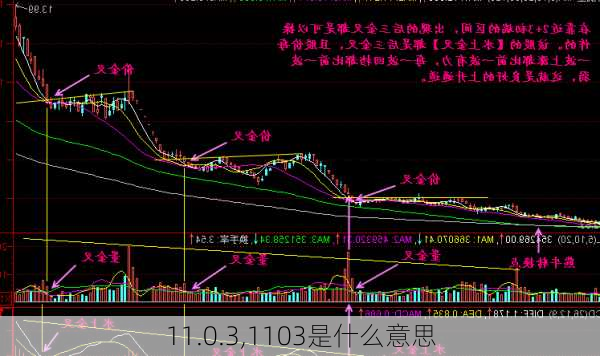 11.0.3,1103是什么意思