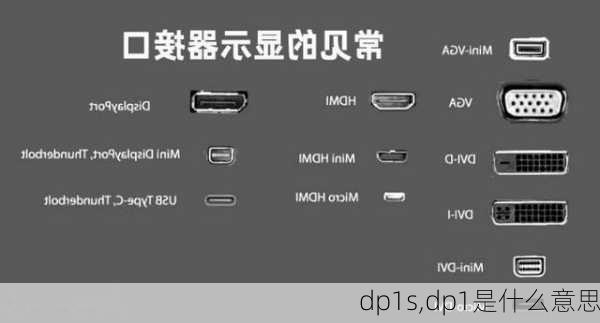 dp1s,dp1是什么意思