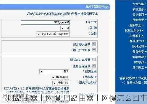 用路由器上网慢,用路由器上网慢怎么回事