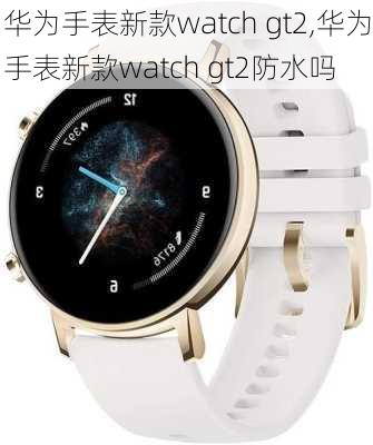 华为手表新款watch gt2,华为手表新款watch gt2防水吗