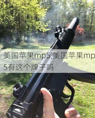 美国苹果mp5,美国苹果mp5有这个牌子吗