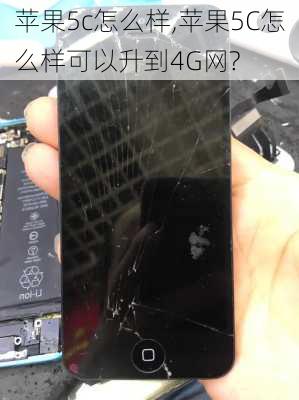 苹果5c怎么样,苹果5C怎么样可以升到4G网?