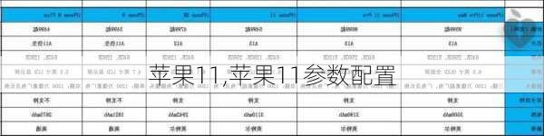 苹果11,苹果11参数配置