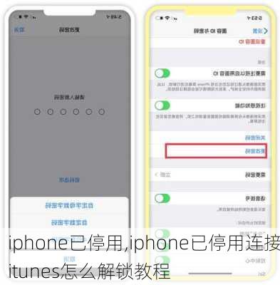 iphone已停用,iphone已停用连接itunes怎么解锁教程