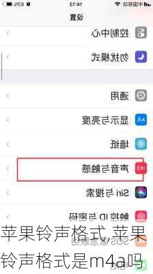 苹果铃声格式,苹果铃声格式是m4a吗