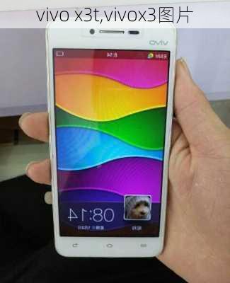 vivo x3t,vivox3图片