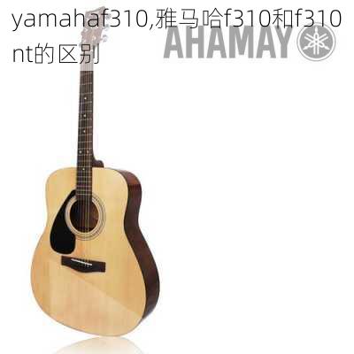 yamahaf310,雅马哈f310和f310nt的区别