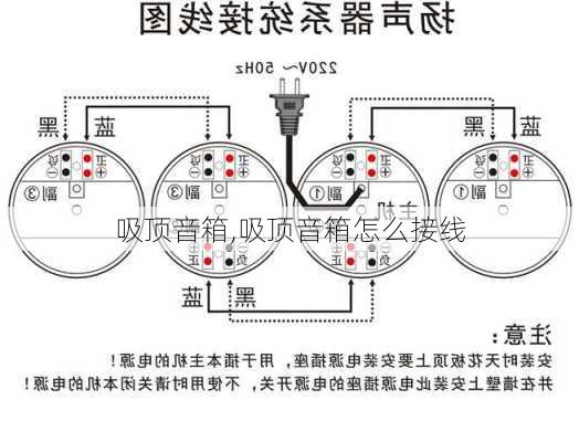 吸顶音箱,吸顶音箱怎么接线