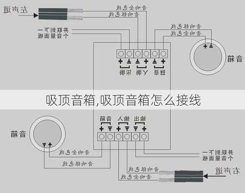 吸顶音箱,吸顶音箱怎么接线