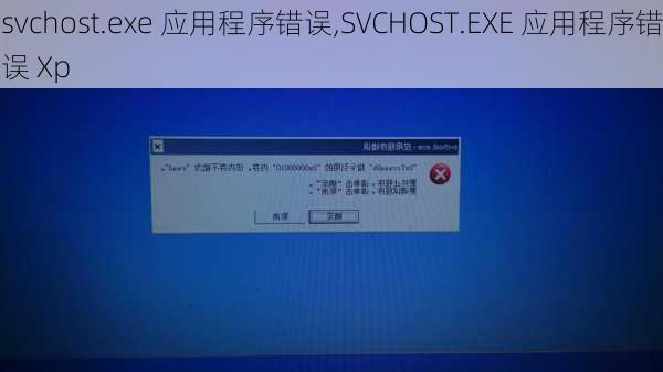 svchost.exe 应用程序错误,SVCHOST.EXE 应用程序错误 Xp