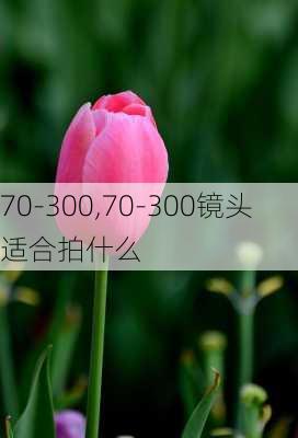 70-300,70-300镜头适合拍什么