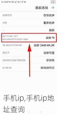 手机ip,手机ip地址查询