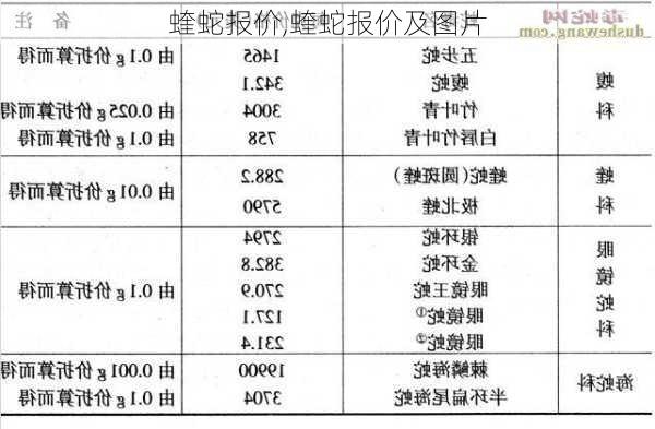 蝰蛇报价,蝰蛇报价及图片