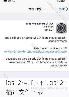 ios12描述文件,ios12描述文件下载