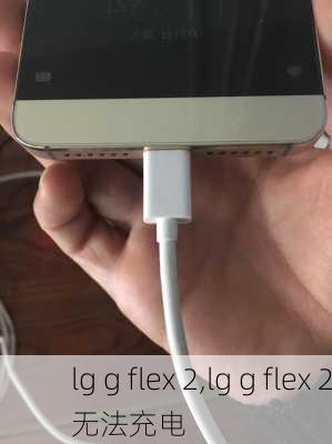 lg g flex 2,lg g flex 2无法充电