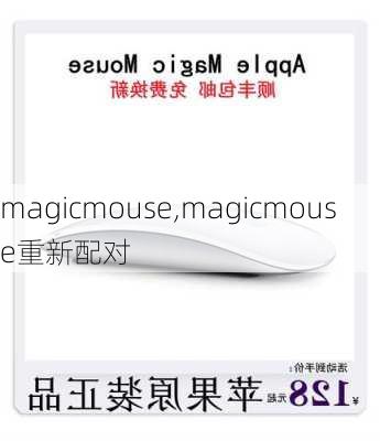 magicmouse,magicmouse重新配对