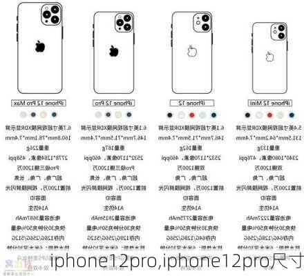 iphone12pro,iphone12pro尺寸