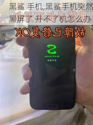 黑鲨 手机,黑鲨手机突然黑屏了 开不了机怎么办