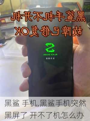 黑鲨 手机,黑鲨手机突然黑屏了 开不了机怎么办